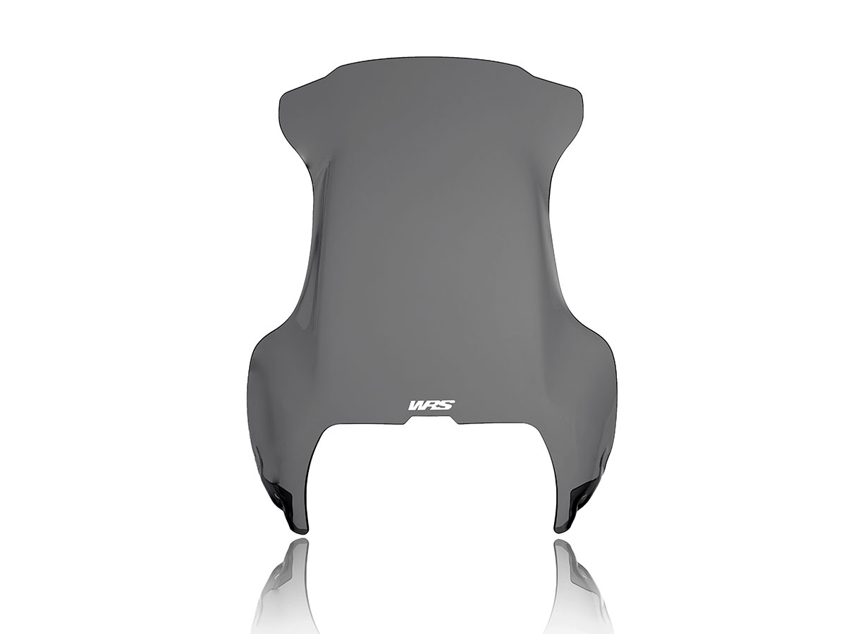 CUPOLINO TOURING WRS BMW R 1100 GS 1994-1999 - immagine 2